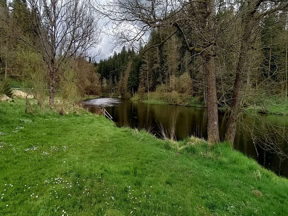 Plant, Water, Natural Landscape, Land Lot, Tree, Watercourse, Grass, Bank, Riparian Zone