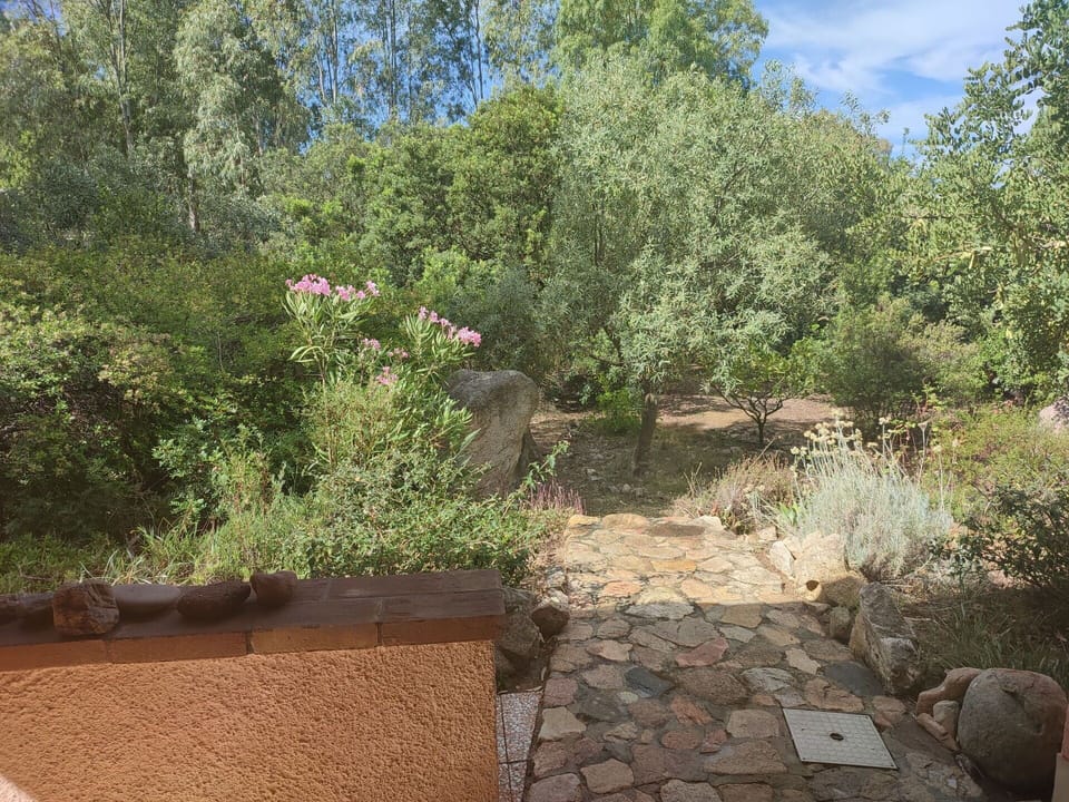 Plant, Plant Community, Natural Landscape, Land Lot, Sky, Bedrock, Grass, Tree, Groundcover, Landscape