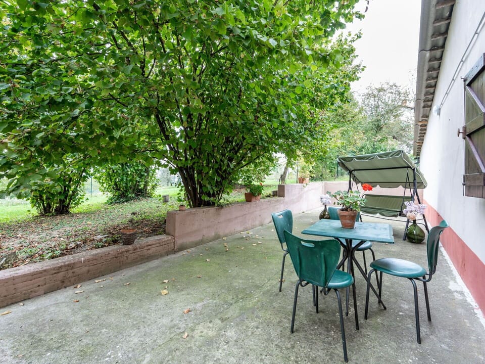 Plant, Table, Furniture, Window, Tree, Shade, Building, Road Surface, Outdoor Furniture, Chair
