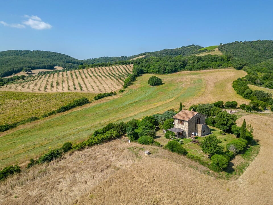 Plant, Sky, Natural Landscape, Tree, Slope, Agriculture, Mountain, Grass, Grassland, Plain