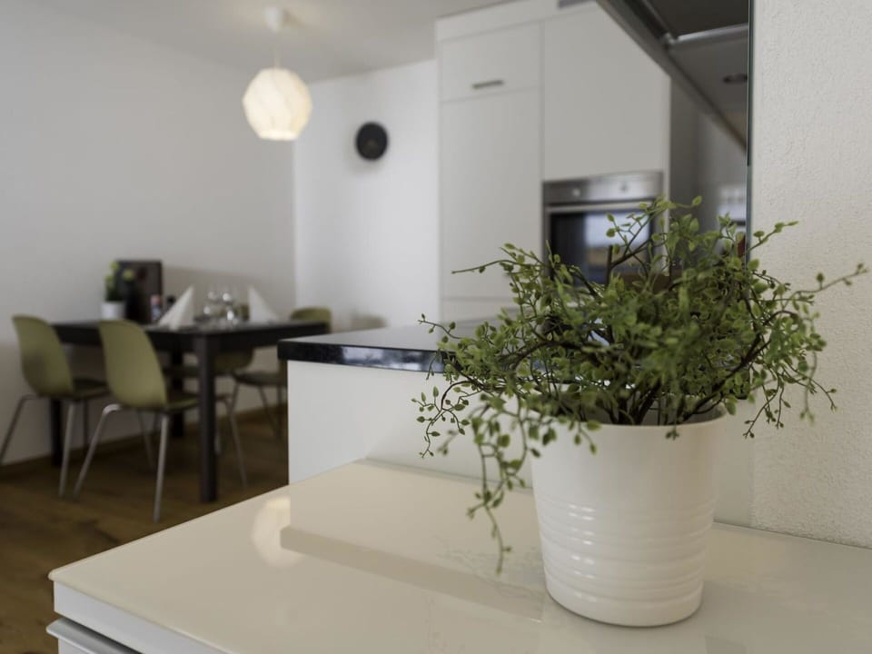 Plant, Property, Table, Furniture, Building, Houseplant, Interior Design, Vase, Chair, Wood