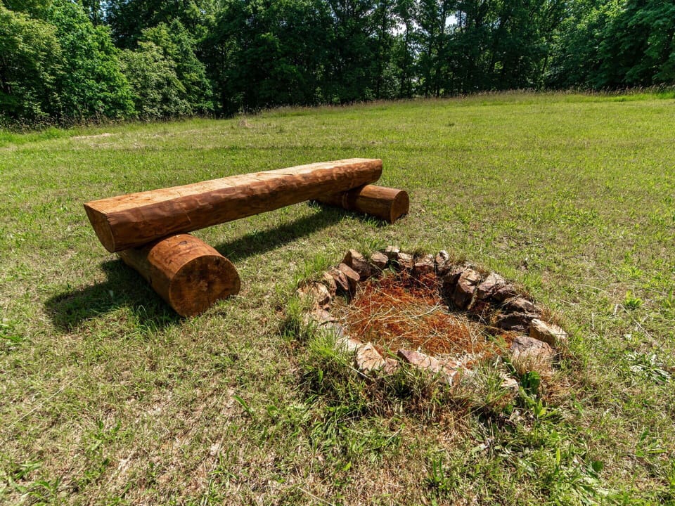 Plant, Tree, Wood, Natural Landscape, Grass, Groundcover, Grass Family, Landscape, Natural Material, Grassland
