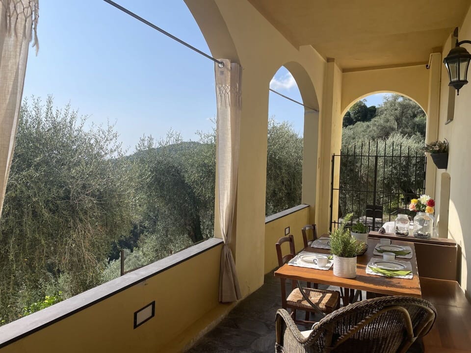 Building, Property, Plant, Sky, Window, Shade, Table, Wood, House, Houseplant