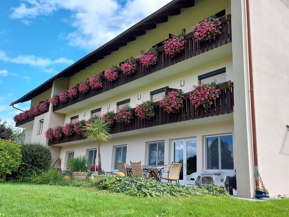 Plant, Building, Cloud, Sky, Window, Flower, Land Lot, House, Leisure