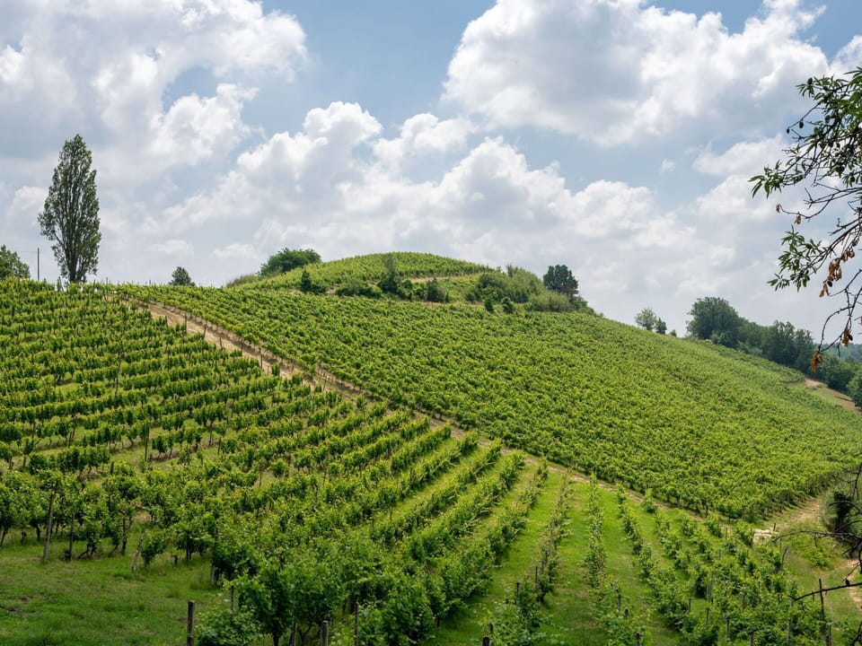 Cloud, Sky, Plant, Natural Landscape, Tree, Land Lot, Highland, Agriculture, Grassland, Landscape