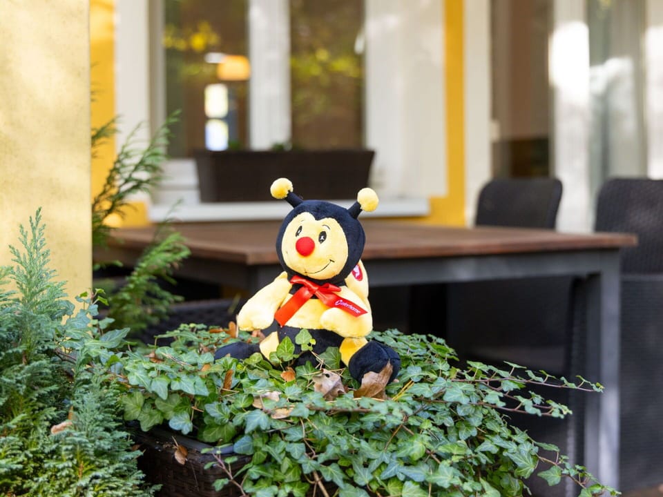 Plant, Window, Yellow, Lawn Ornament, Grass, Wood, Garden
