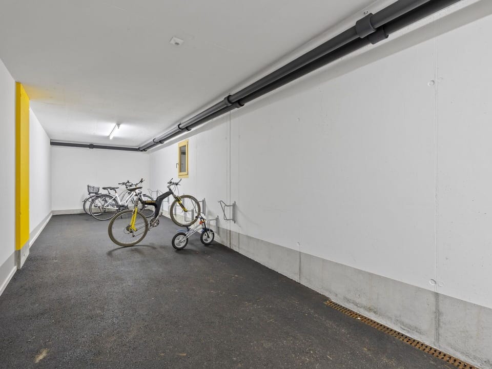 Bicycle, Wheel, Bicycle Wheel, Vehicle, Flooring, Road