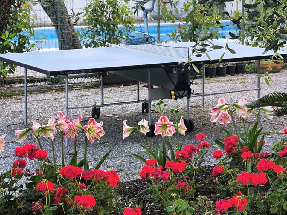 Furniture, Table, Shade, Outdoor Table, Outdoor Furniture, Garden, Lawn, Yard, Design