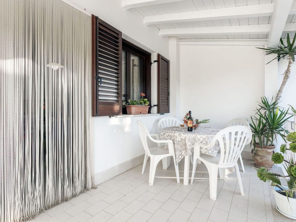 Plant, Furniture, Table, Property, Building, Houseplant, Flowerpot, Chair, Wood, Interior Design