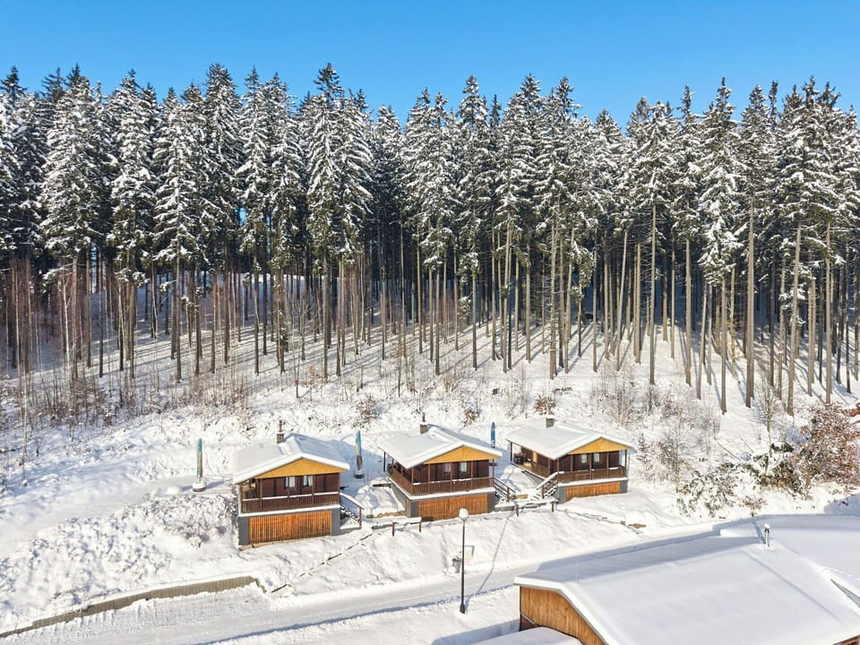 Tree, Wood, Snow, Winter, House, Cottage, Roof, Freezing, Home, Larch
