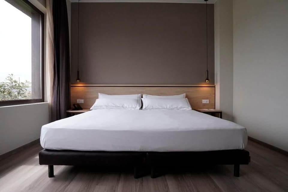 Standard Double Room | Egyptian cotton sheets, premium bedding, down comforters
