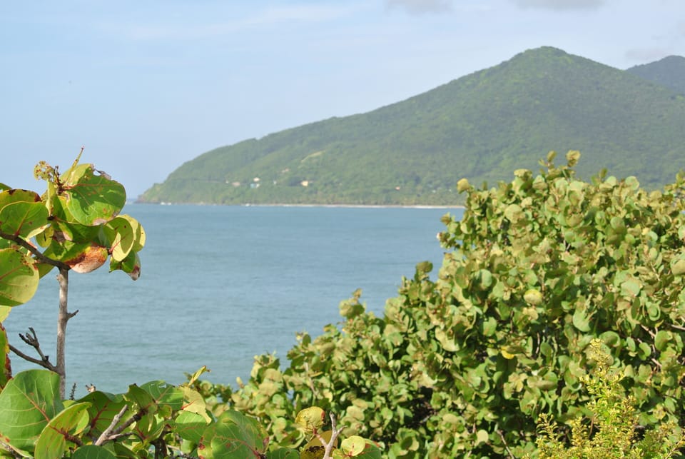 View to Patillas Mountains 