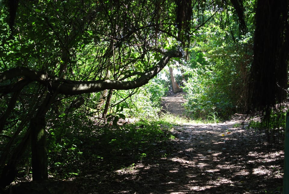 Beach entrance 