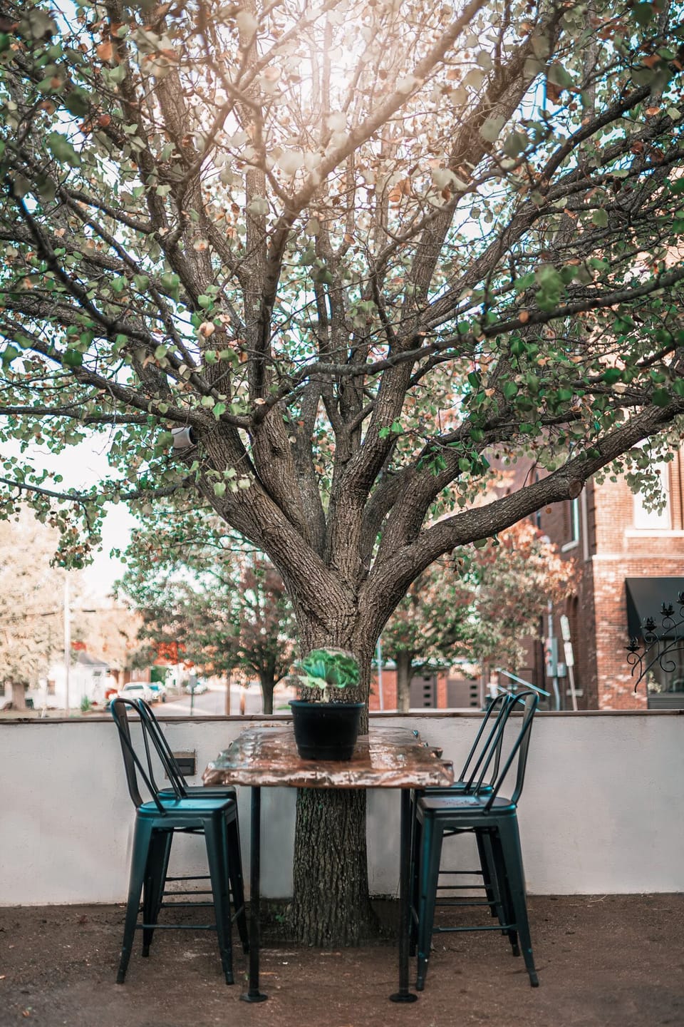 Courtyard dining 