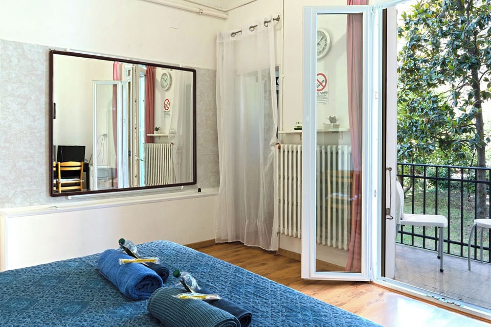 Business Double Room Single Use, Garden View | Minibar, WiFi (free)