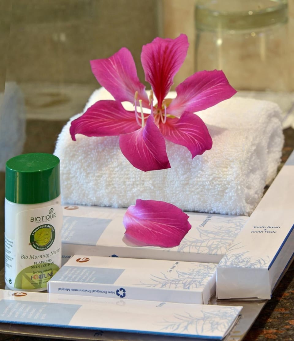 Shower, free toiletries, hair dryer, slippers