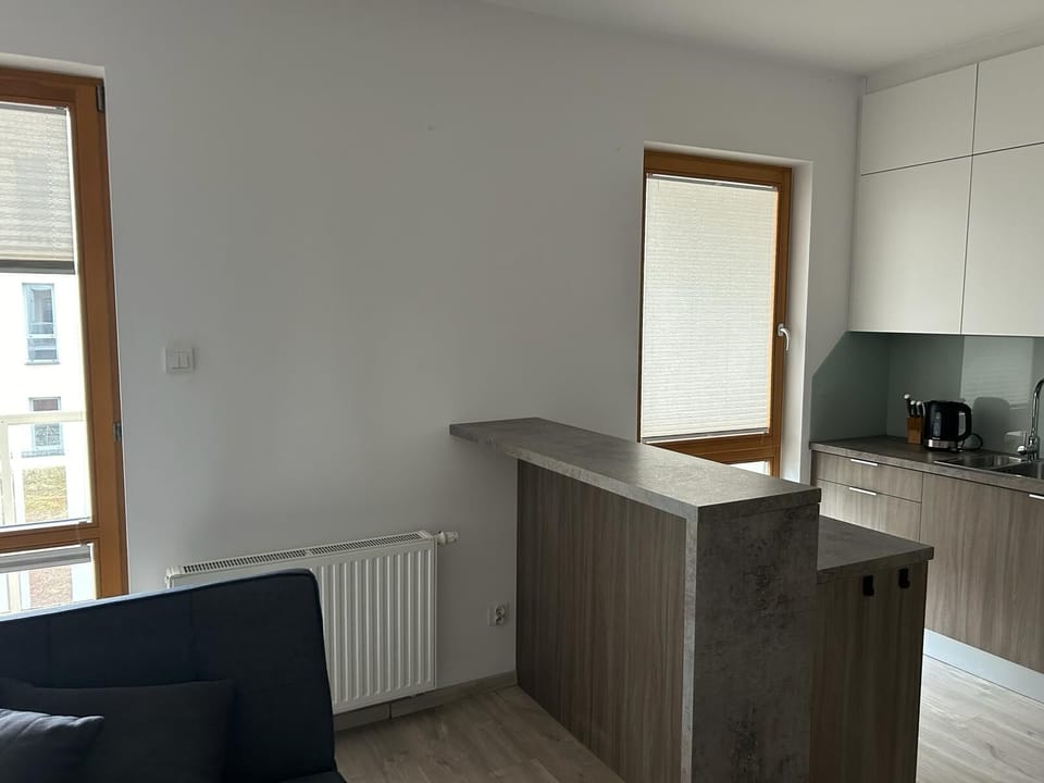 Classic Apartment | 1 bedroom, WiFi (free)