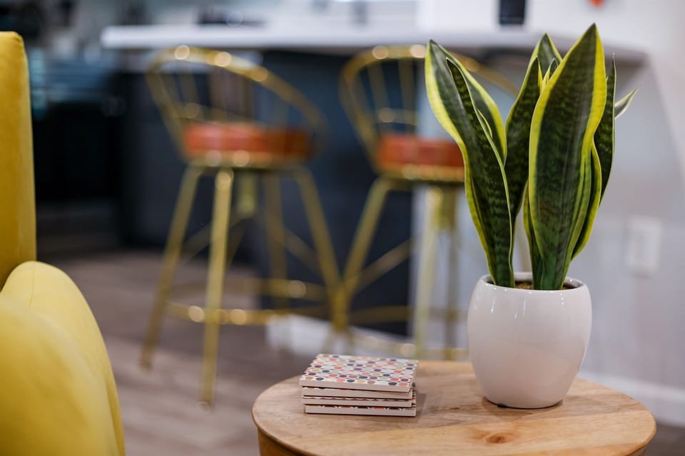 Hand picked decor