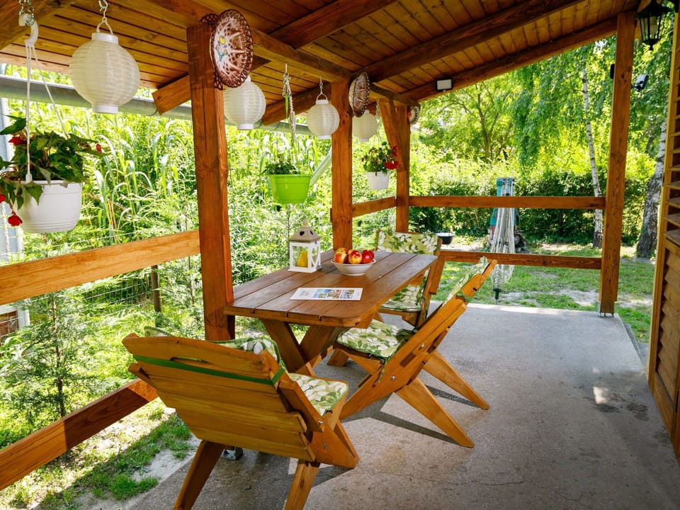 Plant, Property, Botany, Wood, Shade, Outdoor Furniture, Leisure, Tree, Chair, Tints And Shades