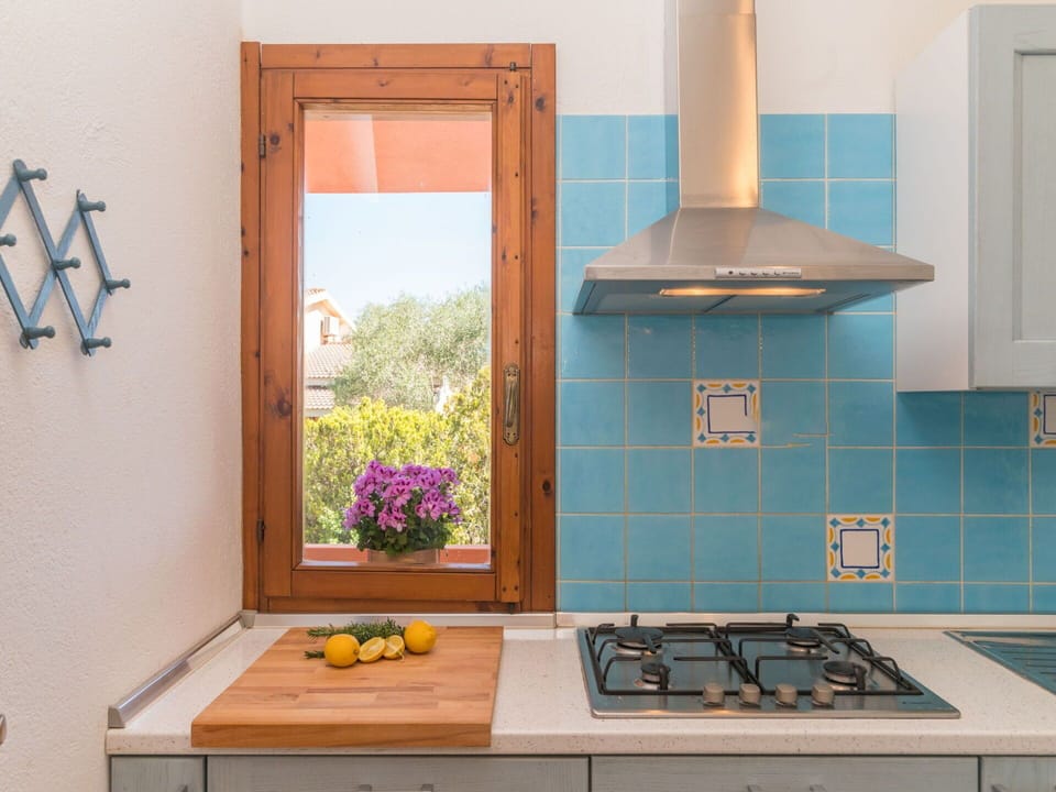 Countertop, Plant, Property, Window, Cabinetry, Blue, Gas Stove, Azure, Wood, Kitchen