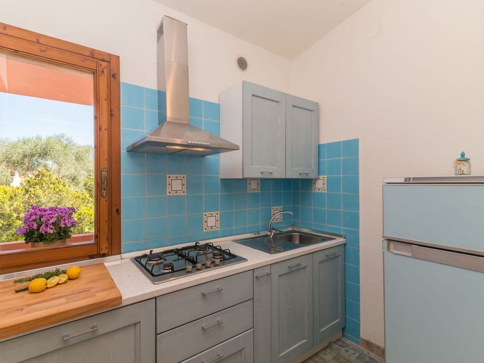 Cabinetry, Countertop, Property, Furniture, Plant, Kitchen, Kitchen Stove, Drawer, Kitchen Appliance, Building