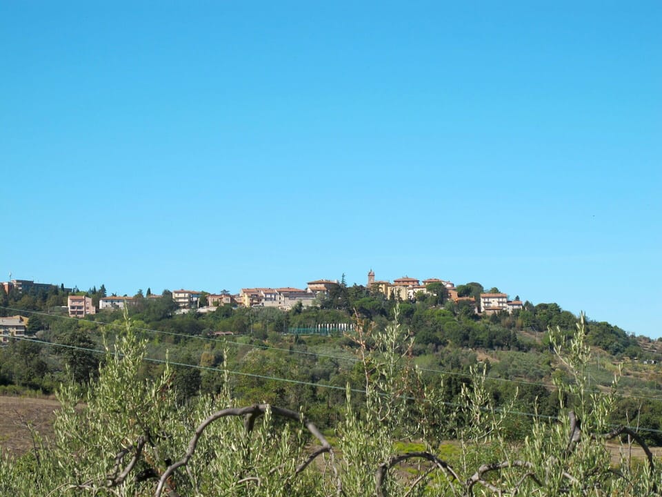 Sky, Plant, Natural Landscape, Land Lot, Residential Area, Grassland, Plain, Tree, Meadow, Grass