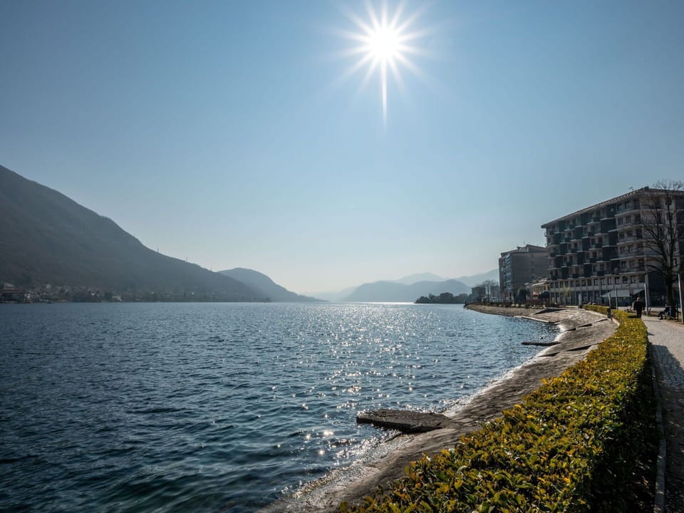 Sky, Building, Plant, Window, Tree, Urban Design, Residential Area, Asphalt, Wheel, Road Surface
