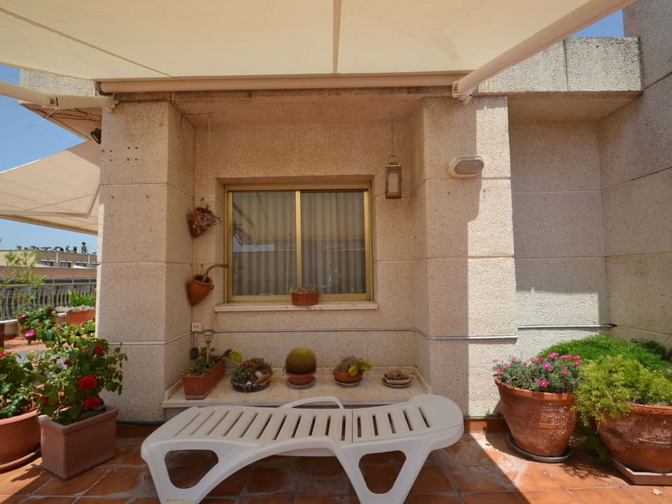 Plant, Building, Property, Flowerpot, Window, Houseplant, Wood, House, Shade, Brick