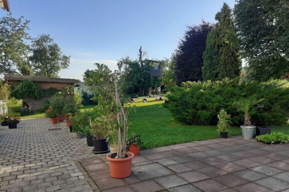 terrace