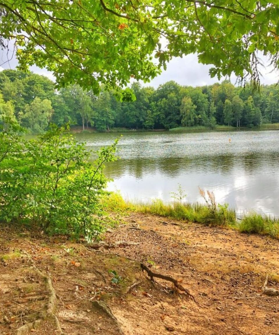 Immediate Surroundings [summer] (<1 km)