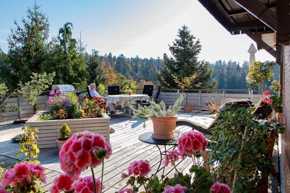 Patio / Balcony