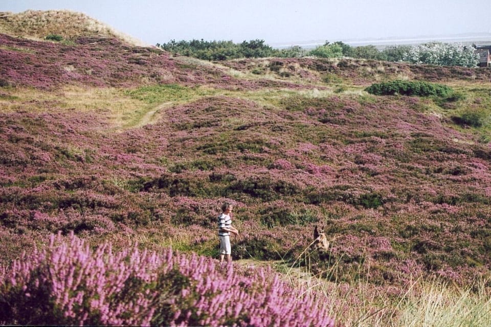 Surroundings [summer] (1-5 km)