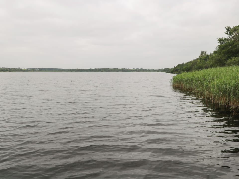 Cottage | Miscellaneous