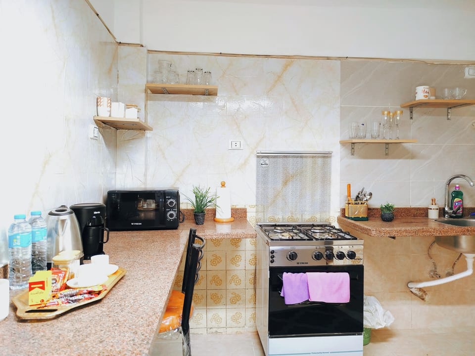 Family Apartment, 3 Bedrooms | Private kitchen | Full-size fridge, microwave, oven, stovetop