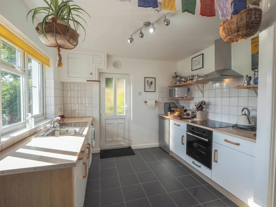 Plant hanging from ceiling, oven, hob, kettle, sink, floor cabinets