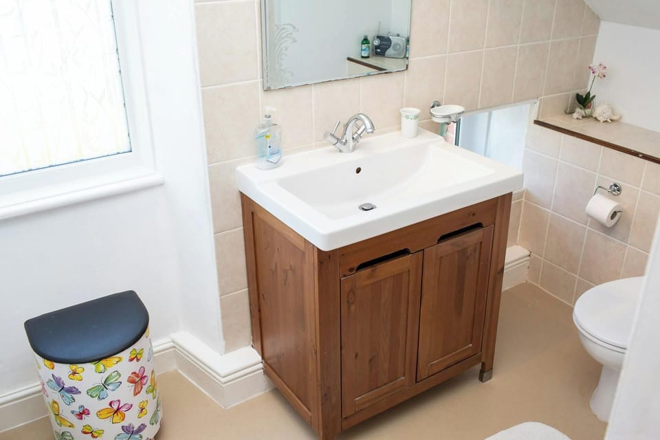 WC and wash hand basin with mirror above