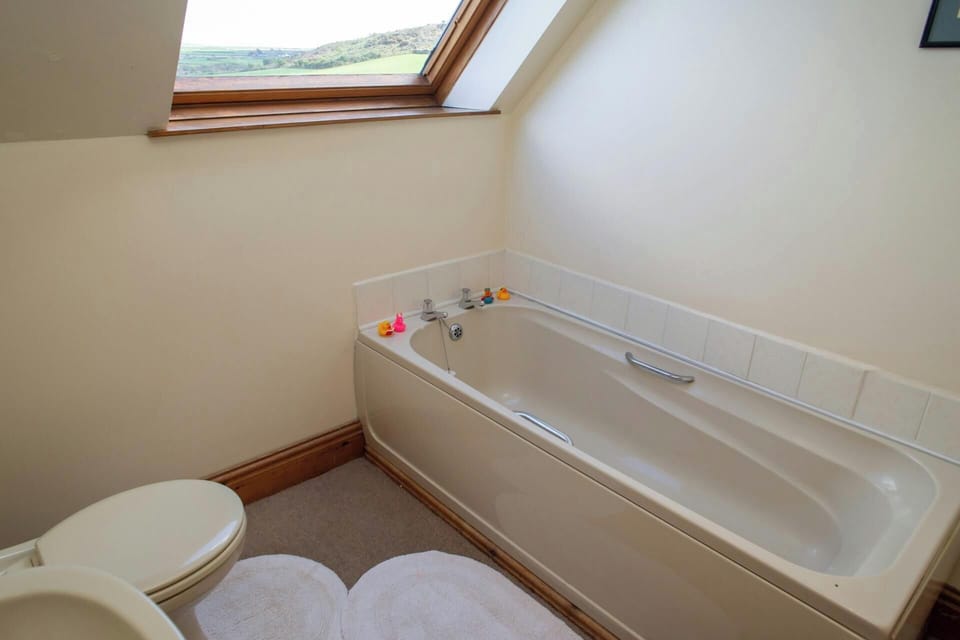 Bath and WC, velux window