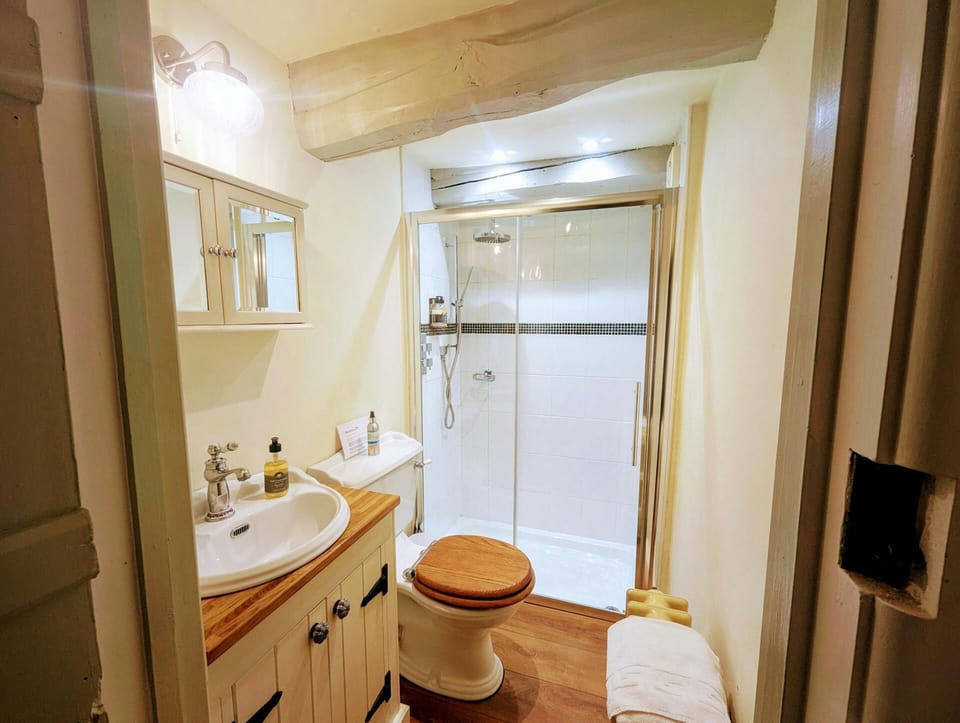 Shower room with walk in shower, toilet and wash basin