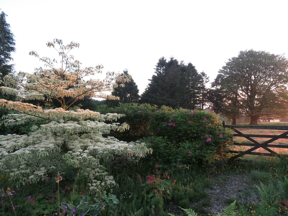 Sunrise in the grounds at Blaenfforest Granary