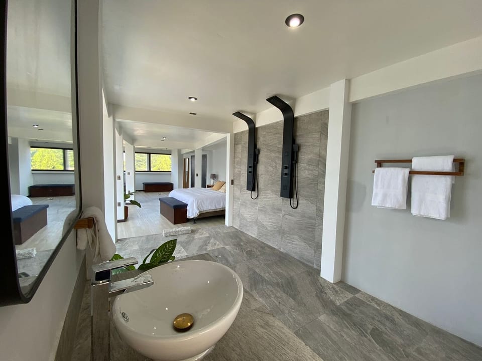 Hair dryer (on request), towels, soap, shampoo