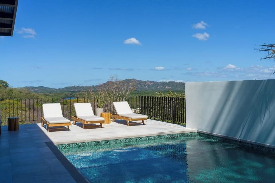 Stunning infinity-edge pool overlooking the estuary