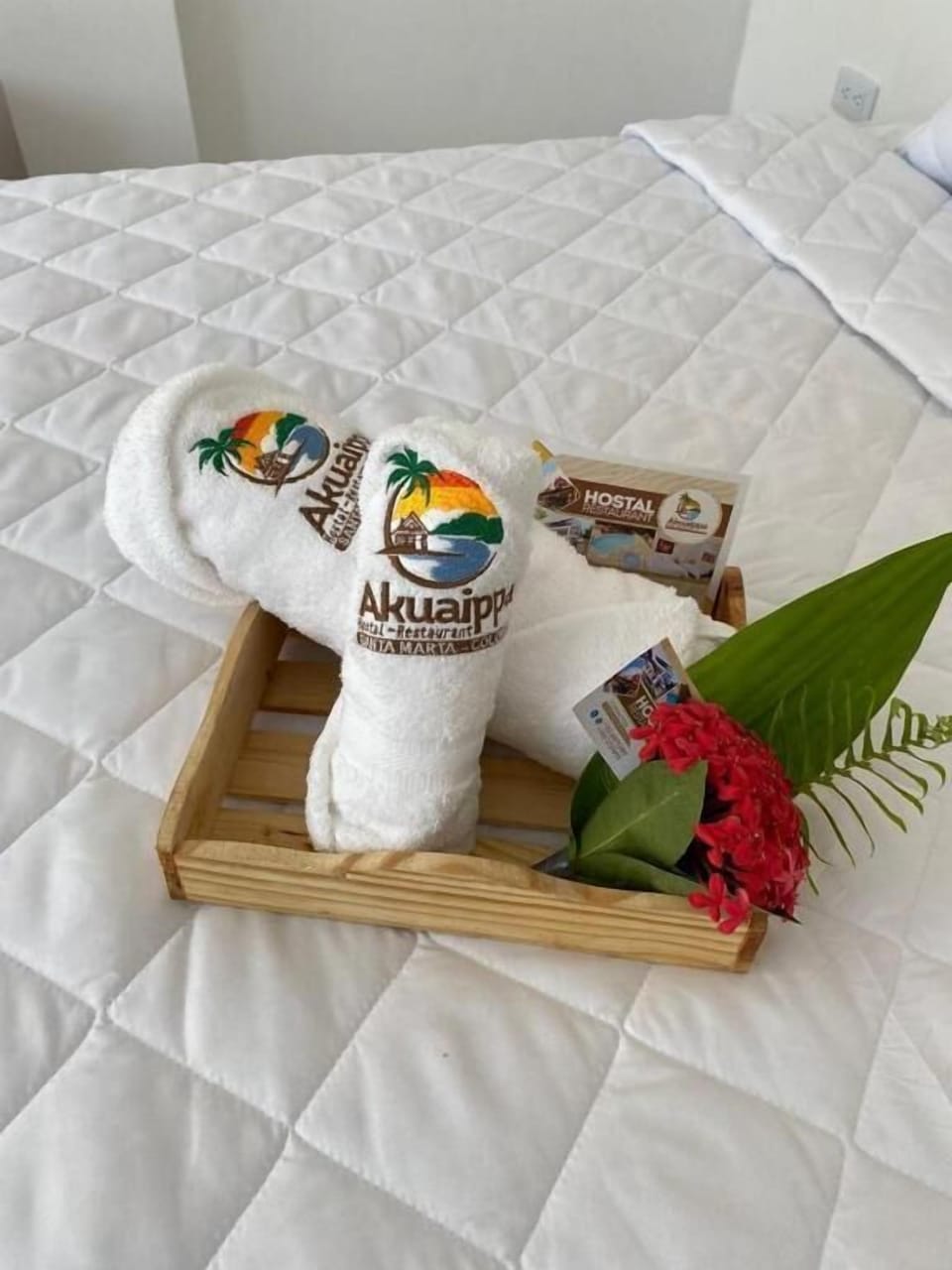 Desk, WiFi (free), bed sheets