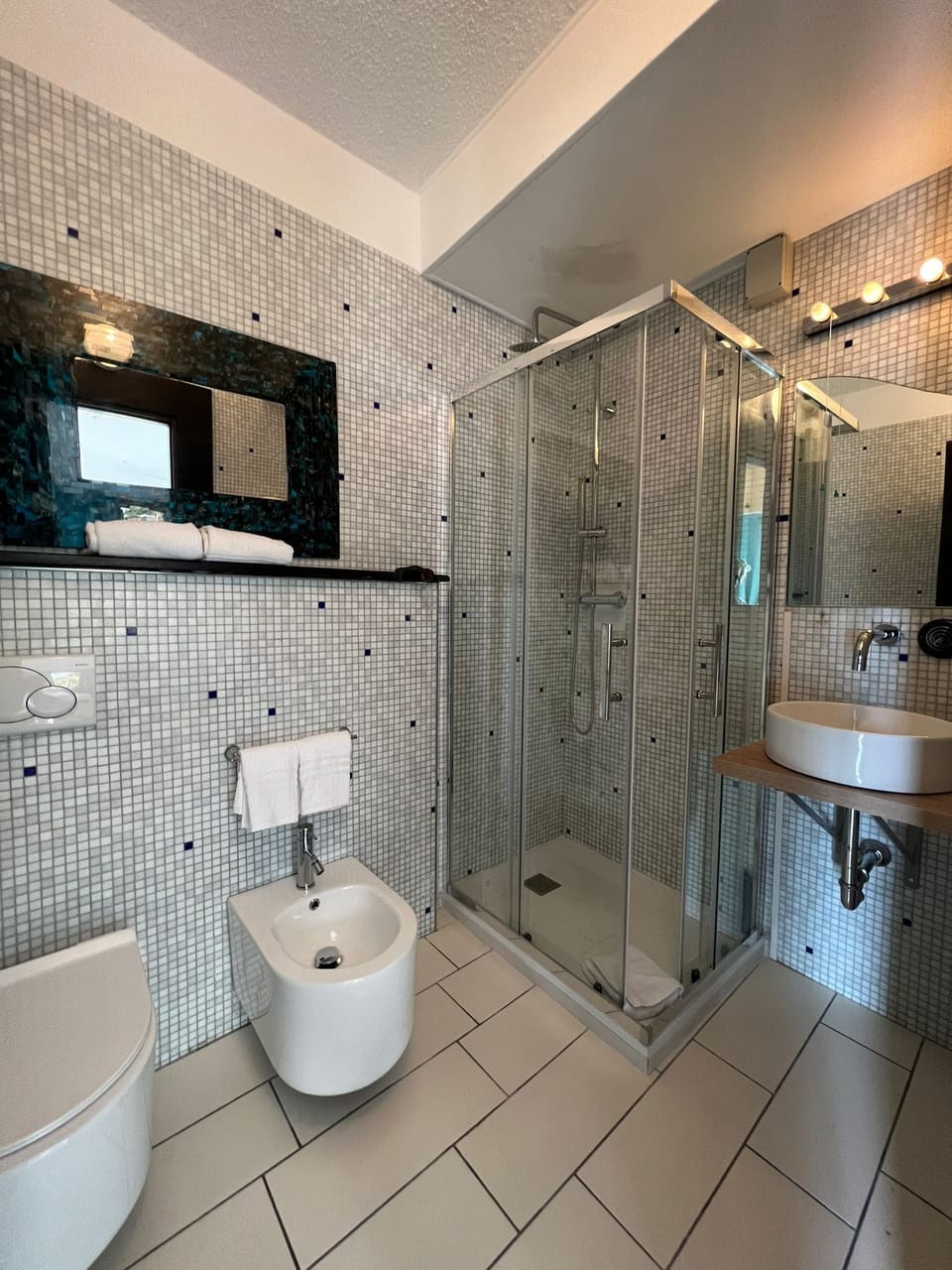 Shower, hair dryer, bidet, towels