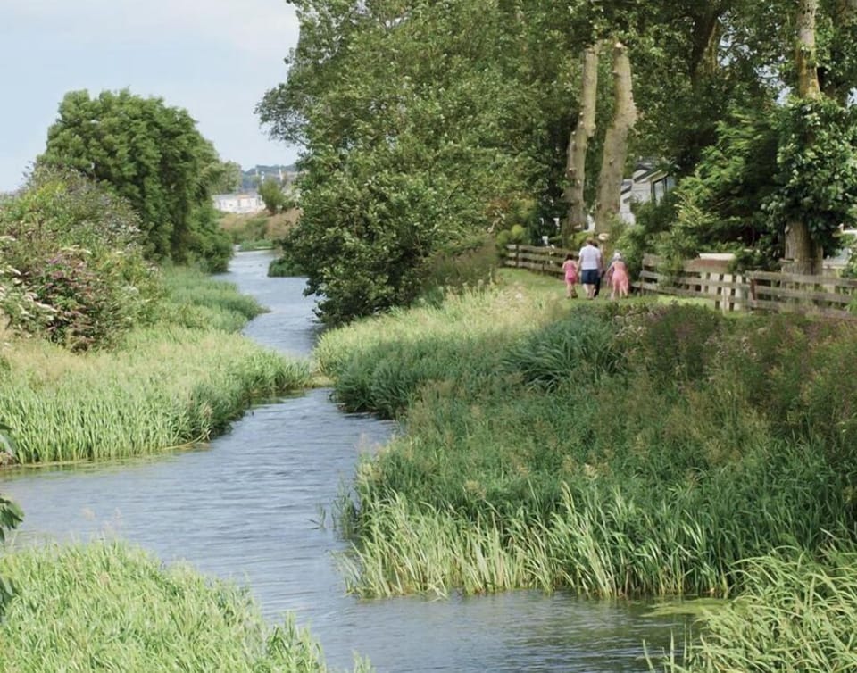 Image 26