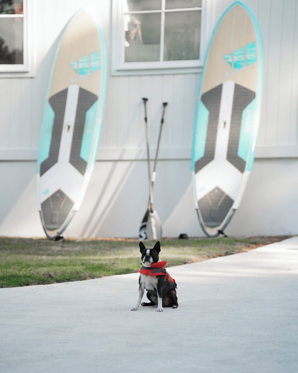 Dog friendly ,walking distance to carry your board to water (fun time).