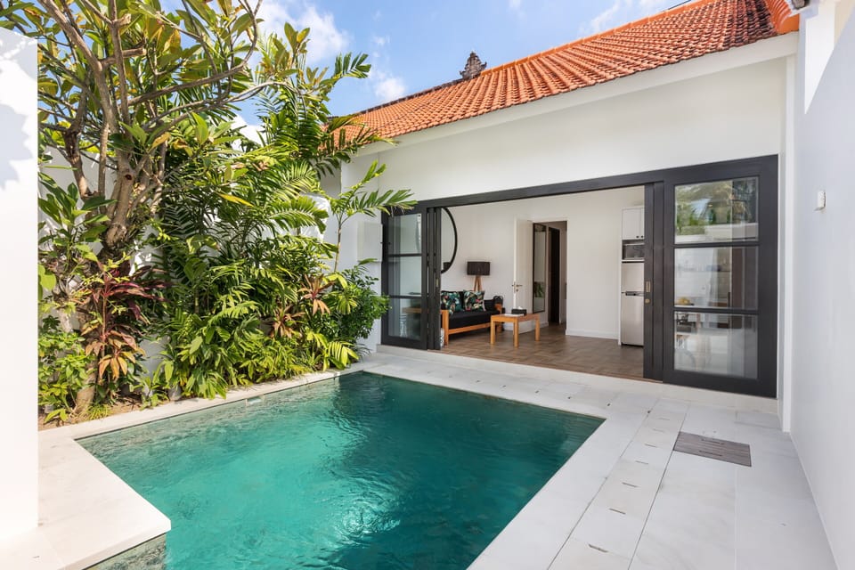 Outdoor pool, sun loungers