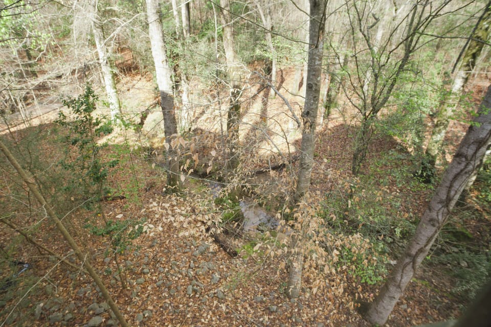 The view off of the back porch is amazing!!