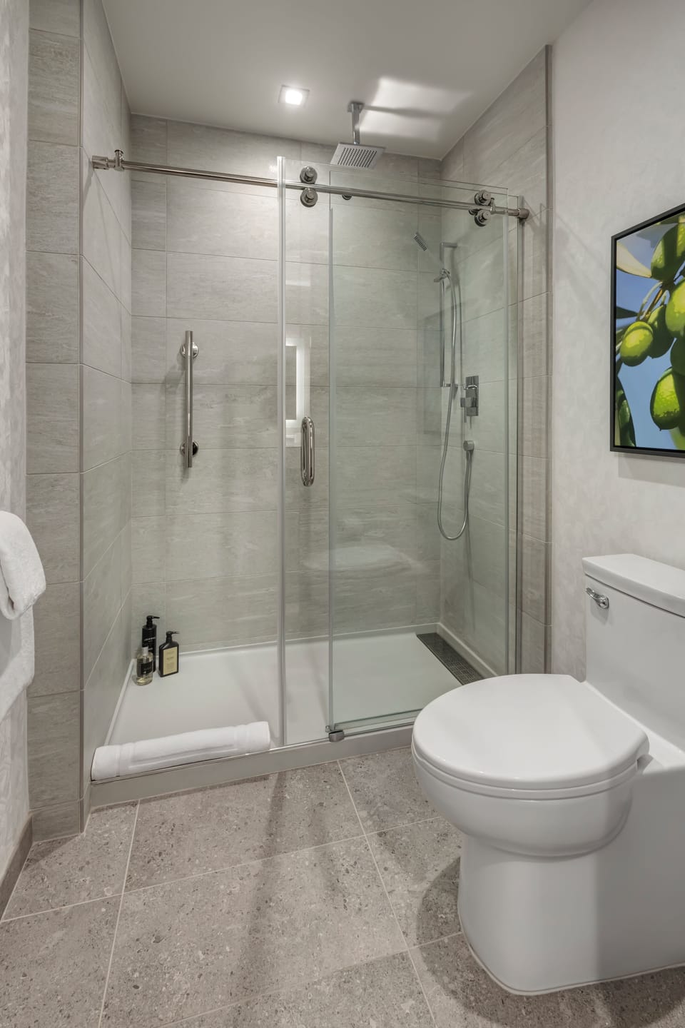 Shower, free toiletries, hair dryer, bathrobes