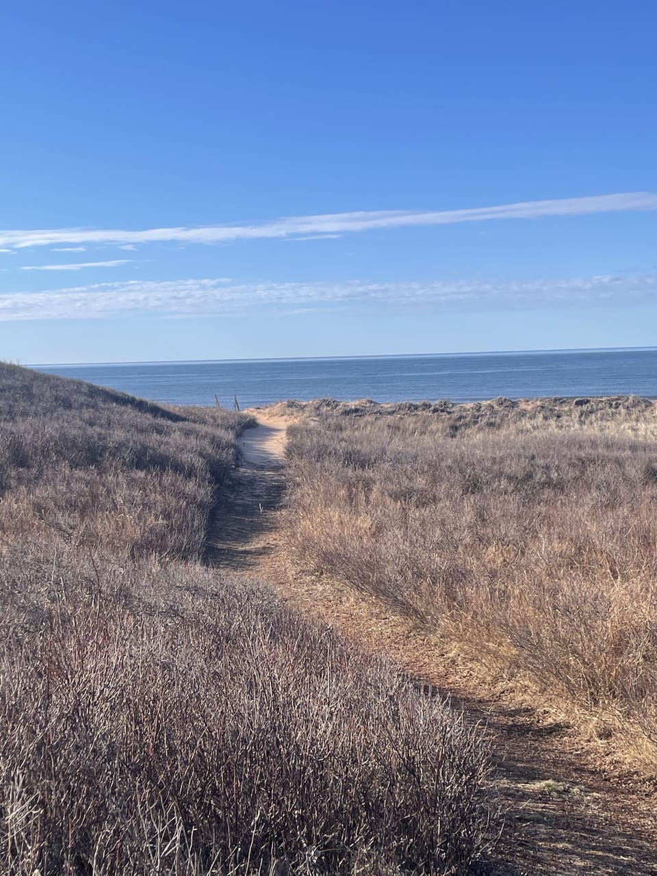 Semi-private trail with direct access to the beach