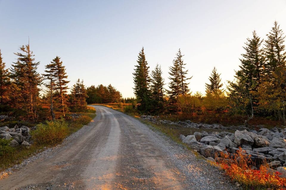 Dolly Sods in the fall